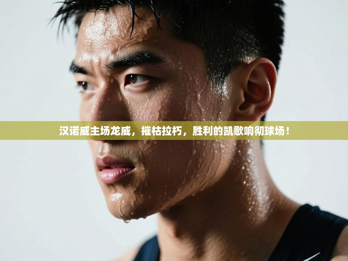 汉诺威主场龙威，摧枯拉朽，胜利的凯歌响彻球场！  第2张