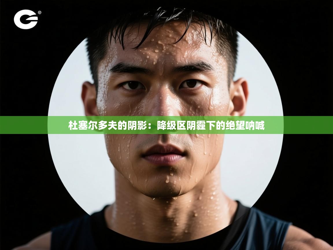 杜塞尔多夫的阴影:降级区阴霾下的绝望呐喊 第1张