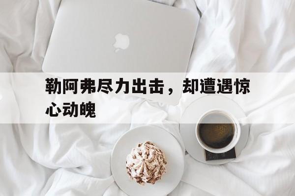 关于勒阿弗尽力出击，却遭遇惊心动魄的信息